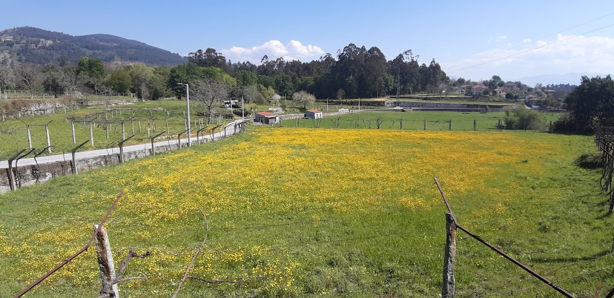 Café das Cruzes - 4