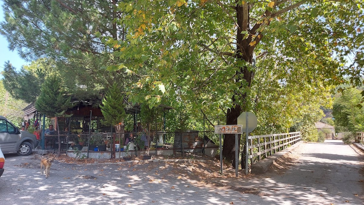 Incecikler Cay Bahcesi - 4