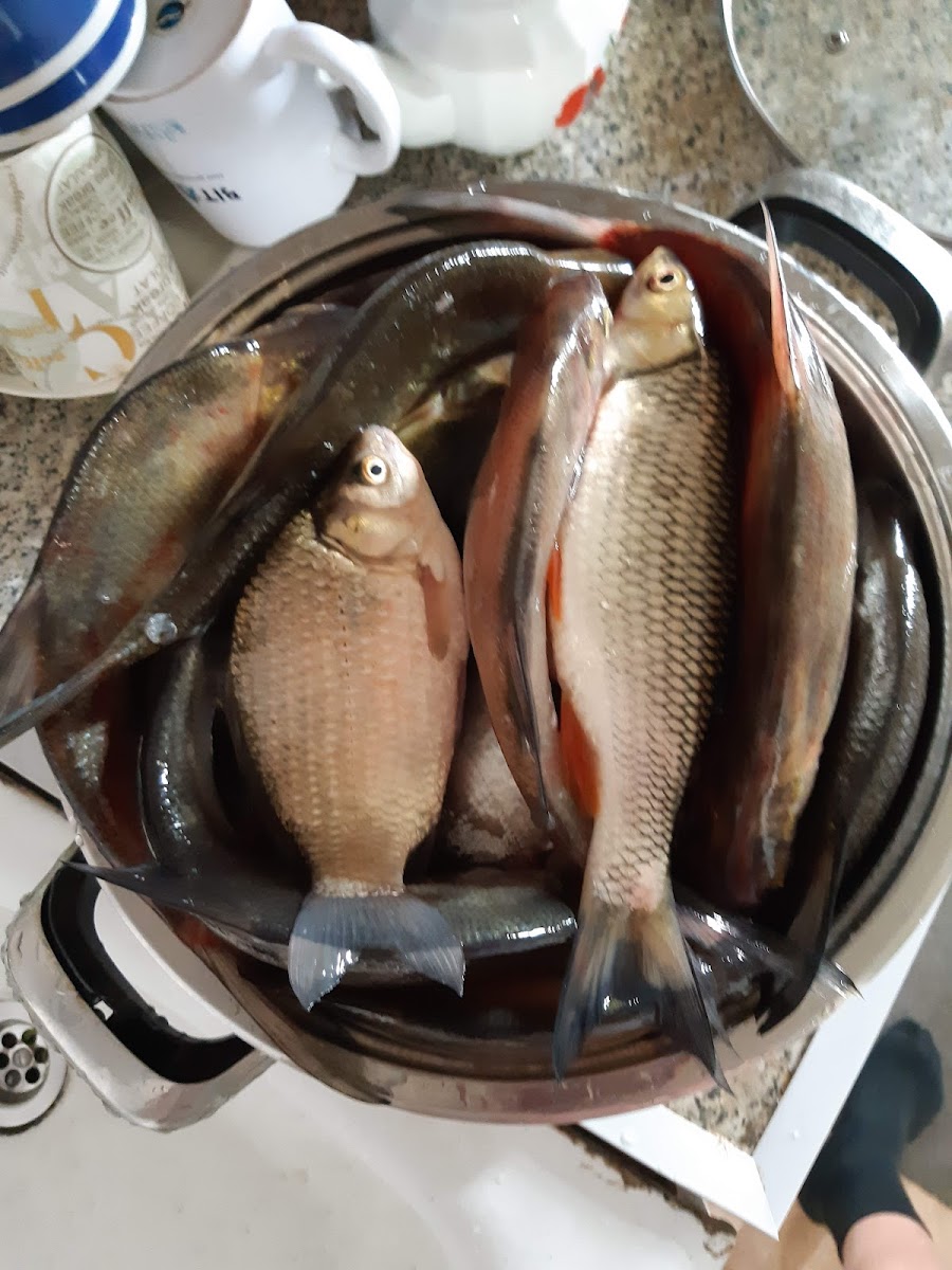 the water recreation area 'Ostrovetskaya Luka' - 5