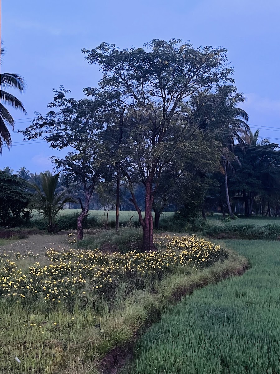 Karthik and Keerthi's Night Shop