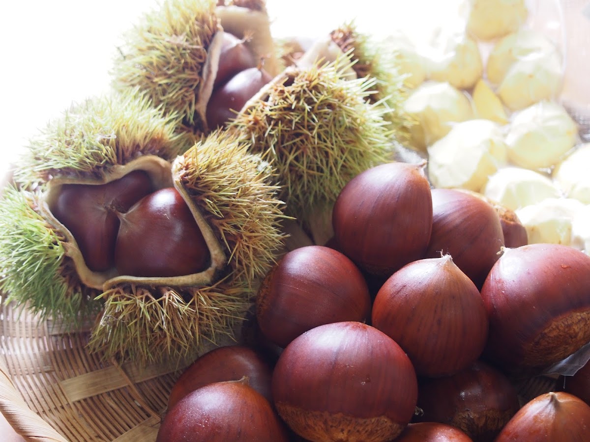 Hiro-chan kurien and Green Grocer - 3