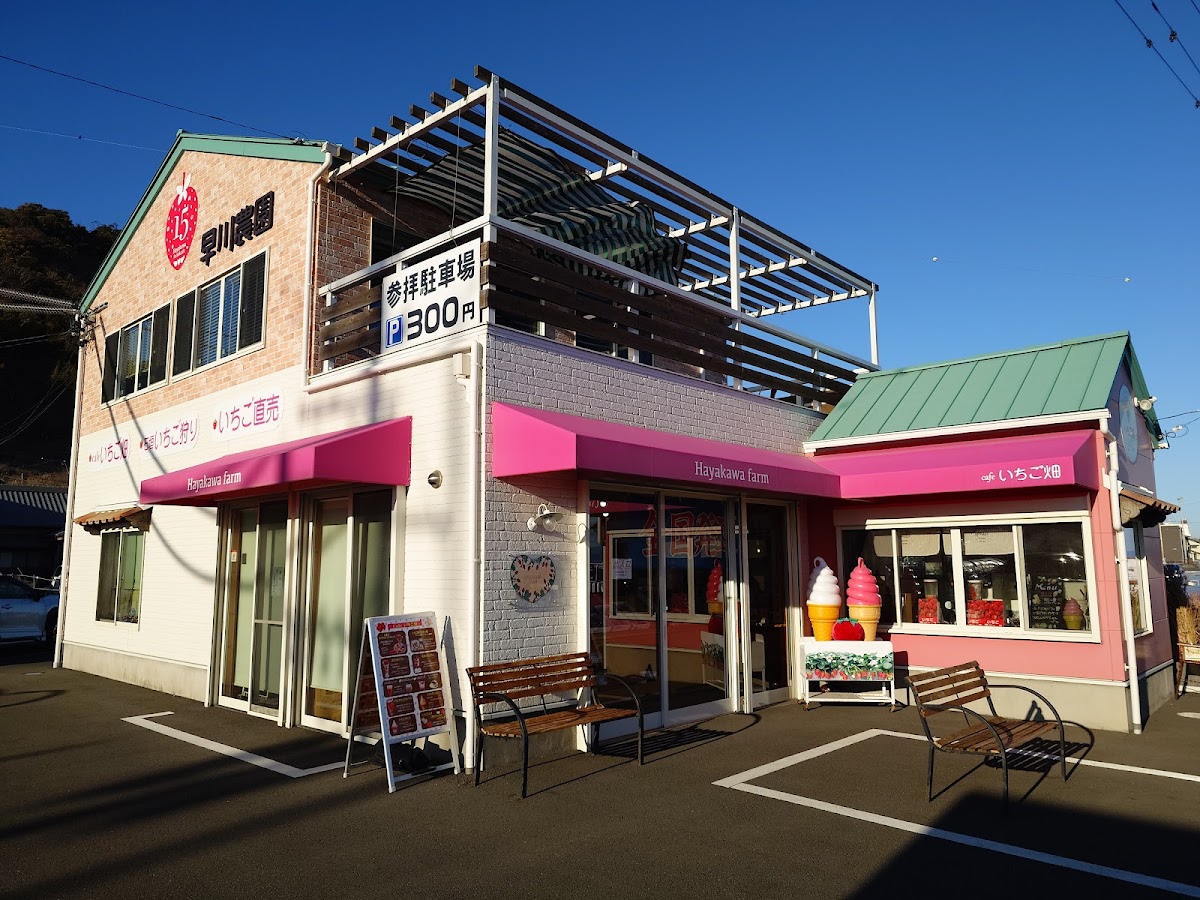 Hayakawa Orchards - 4