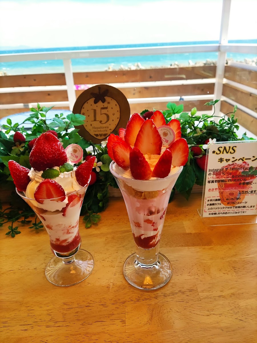 Hayakawa Orchards - 5