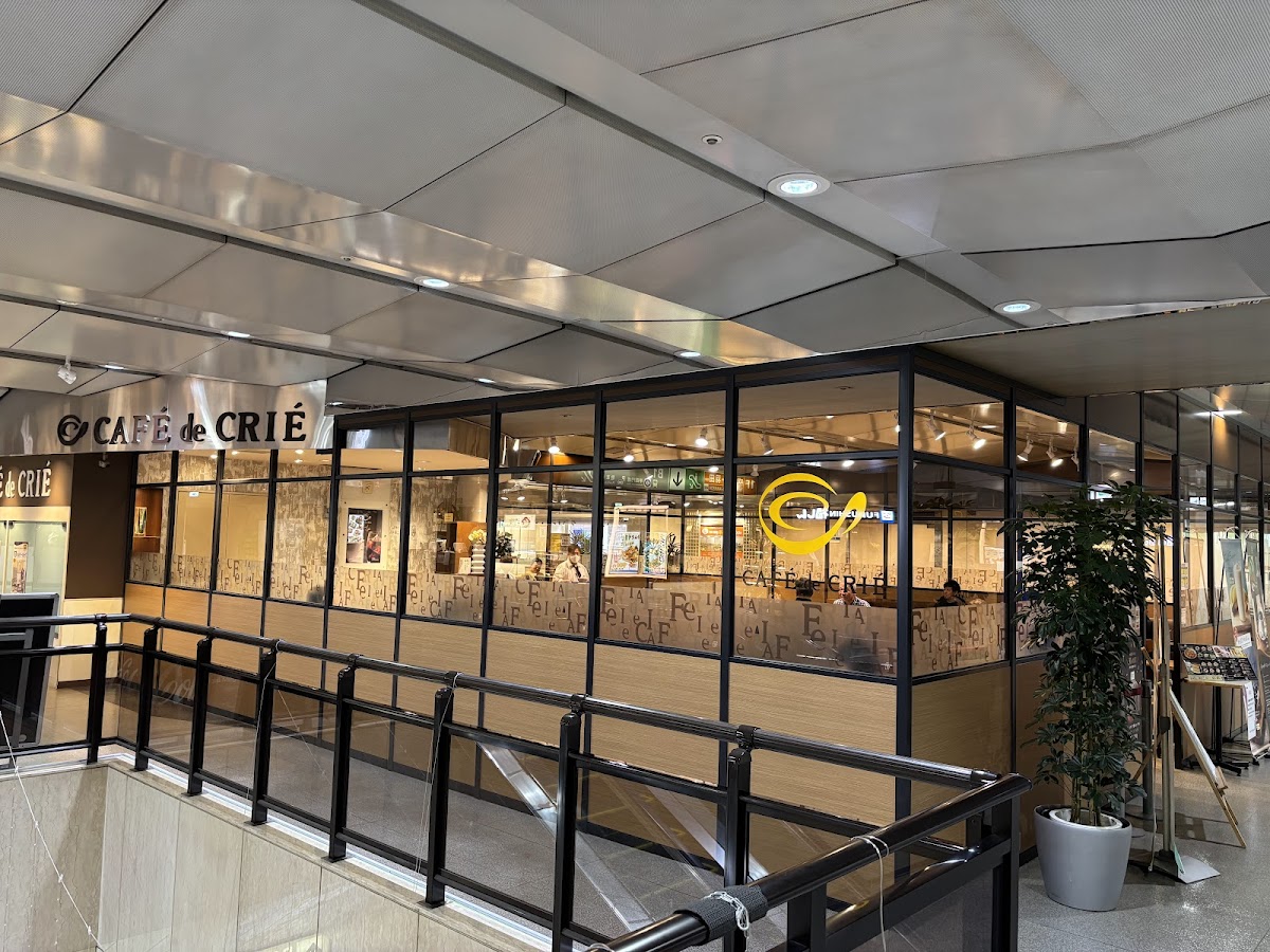 Café de Crié - T-CAT - 3