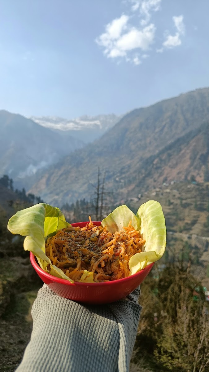 Hakuna matata by timon and pumba - 8