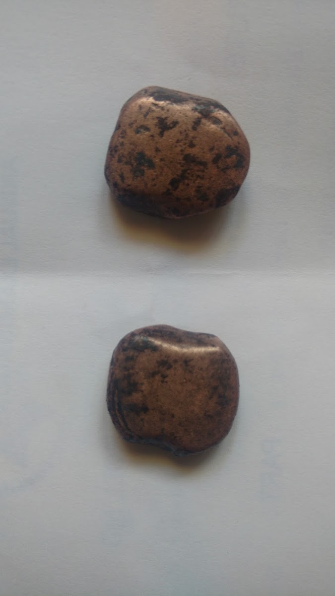 Bhetghat Cafe And Restro - 6