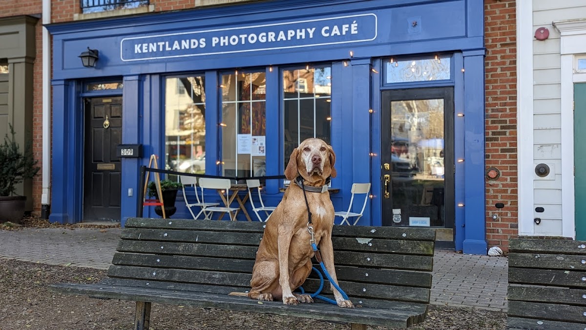 Kentlands Photography Cafe