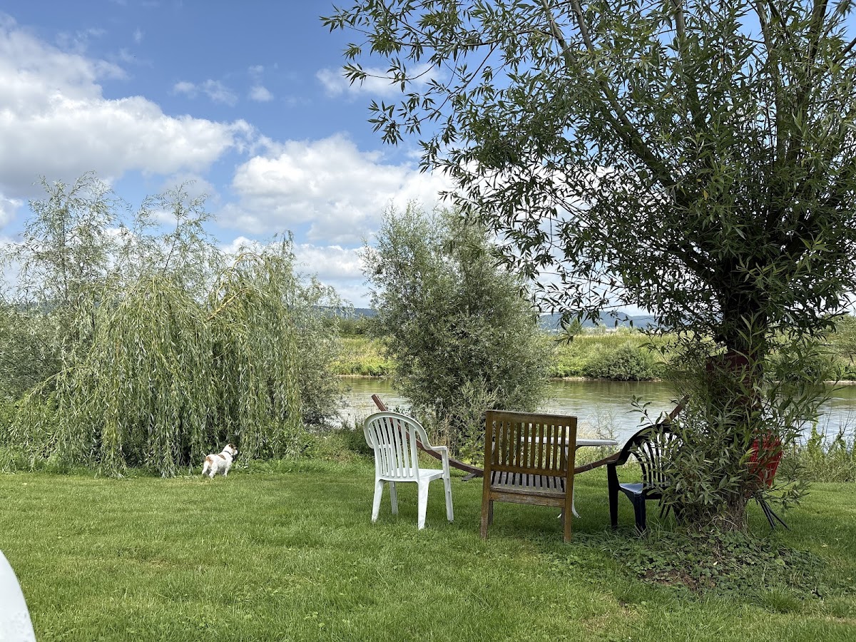 Café Sorgenfrei - 4