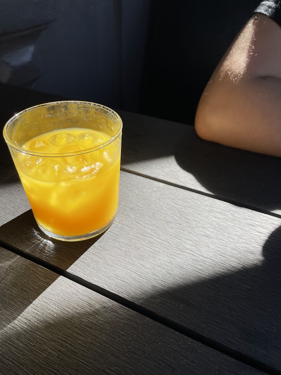 Curio Cafe and Bar - 7