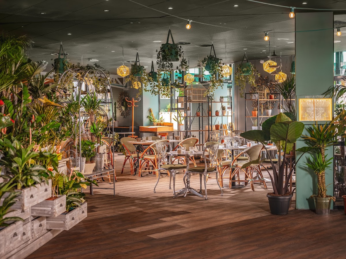 Le Genie Sous Les Etoiles