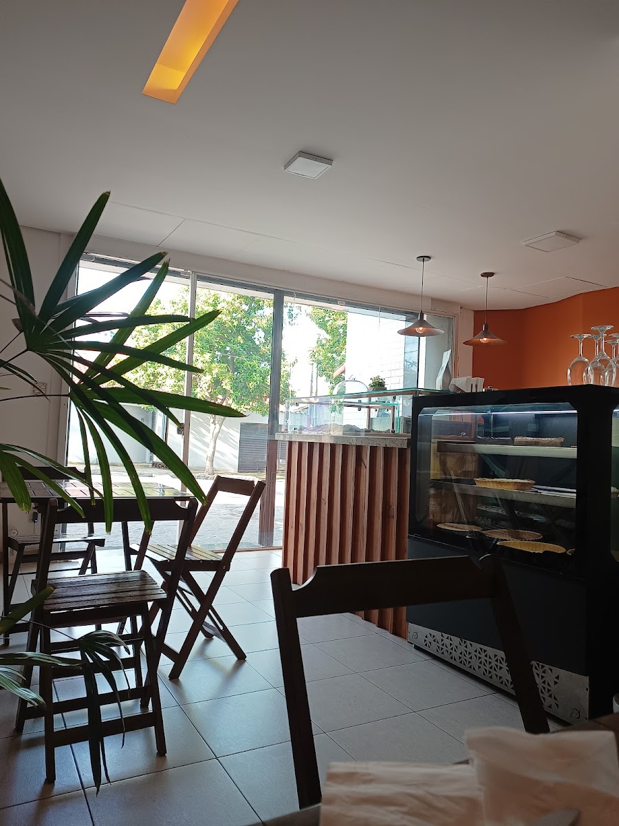 Cacaueiro Por Bruno Salvador