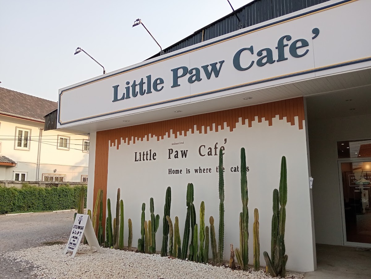 Little Paw Cafe คาเฟ่แมว เชียงราย