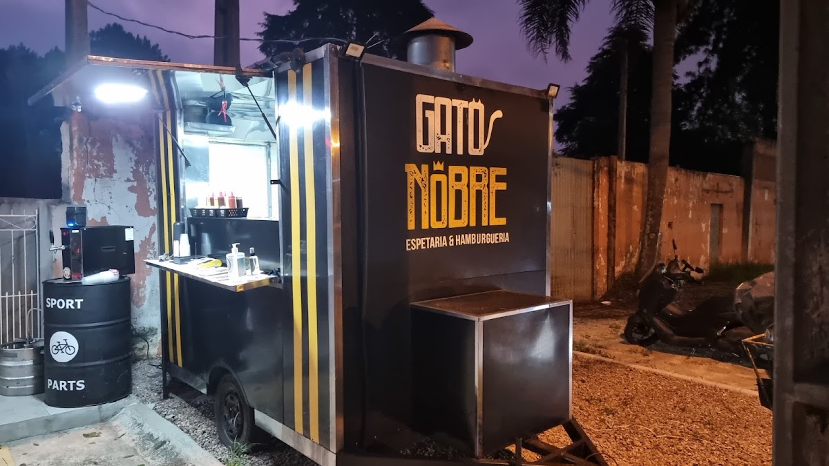 Gato Nobre Afonso Pena