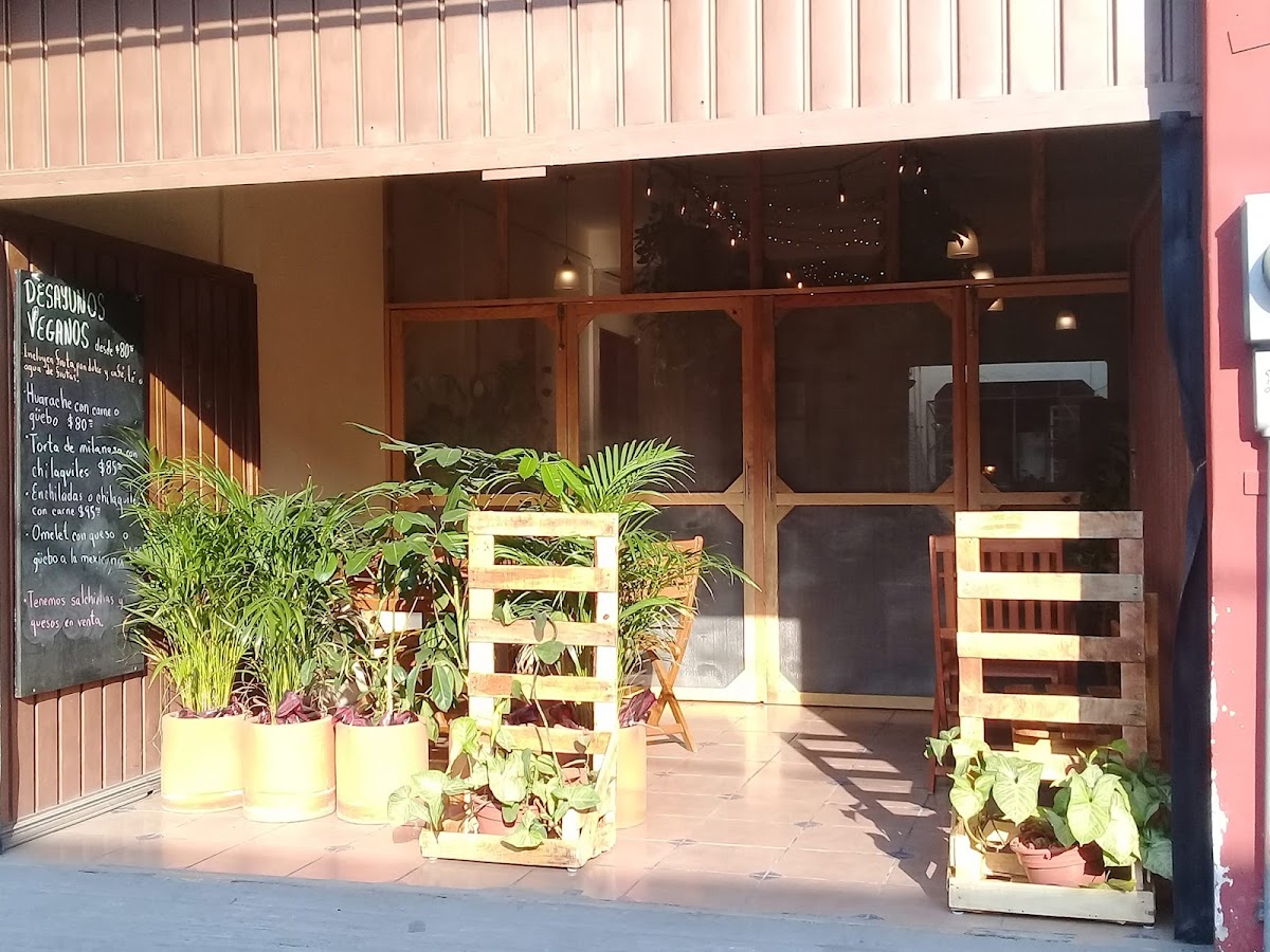 9 o 6 Comida Vegana.