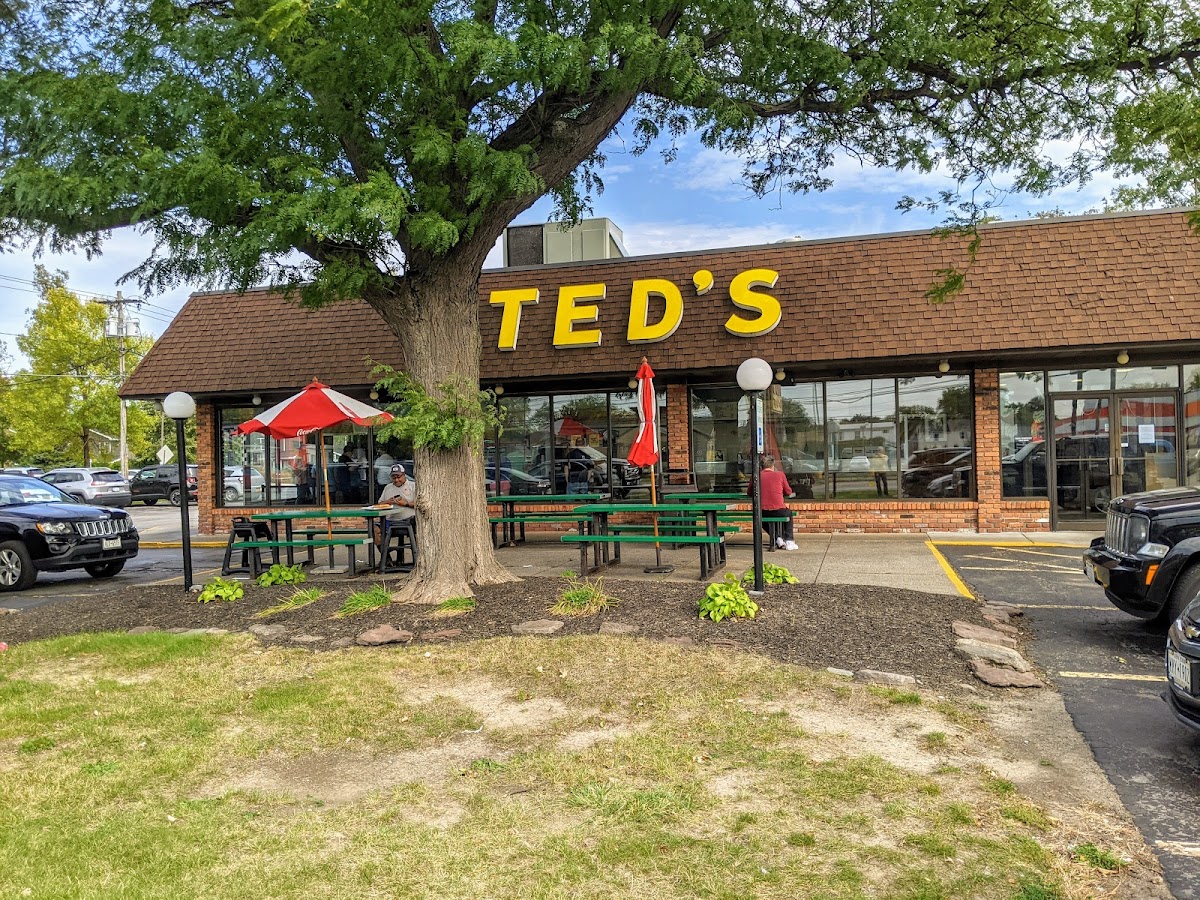 Ted's Hot Dogs