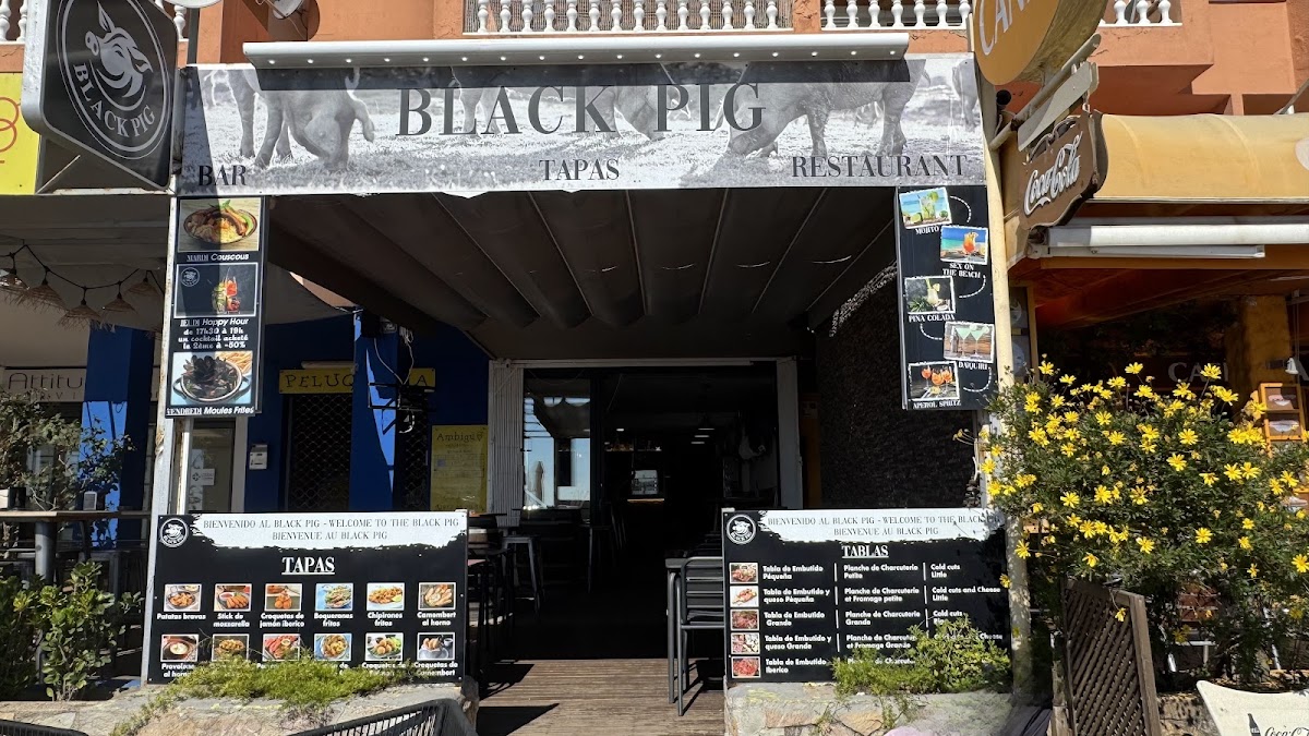 Black Pig