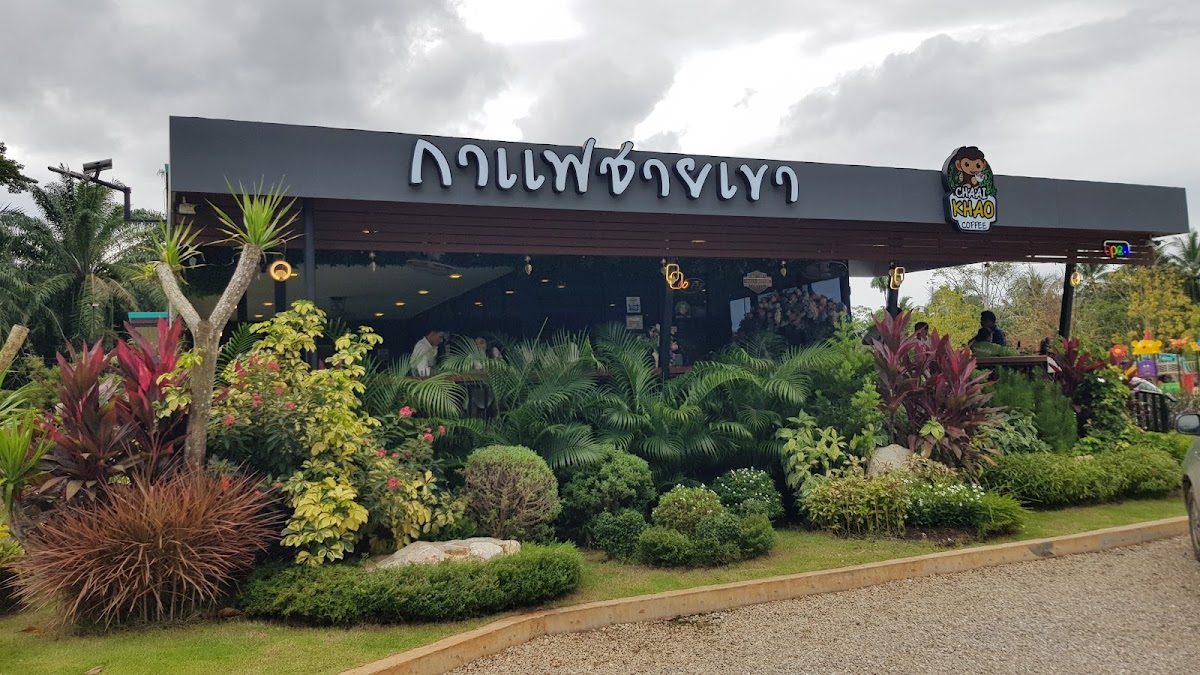 กาแฟชายเขา chai khao coffee