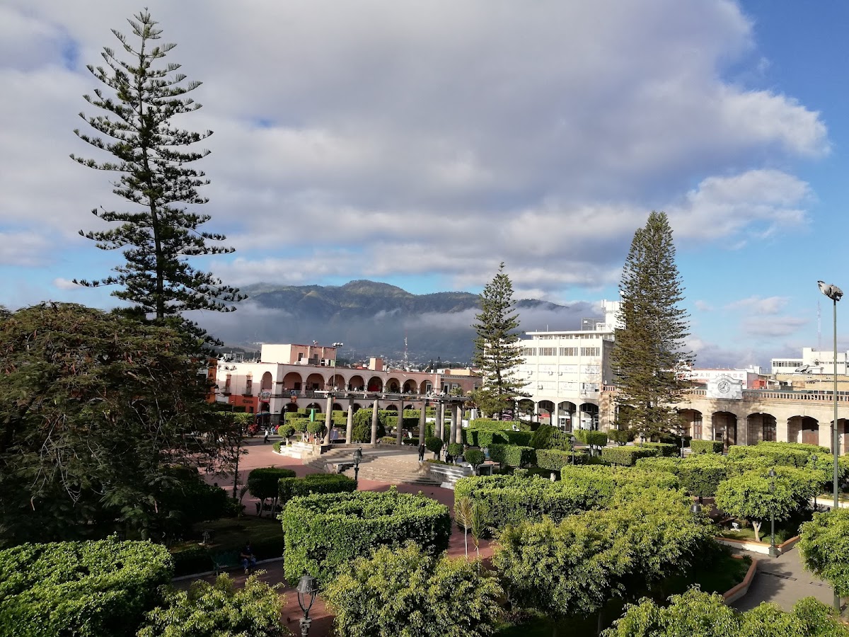 Café Diligencias - 3