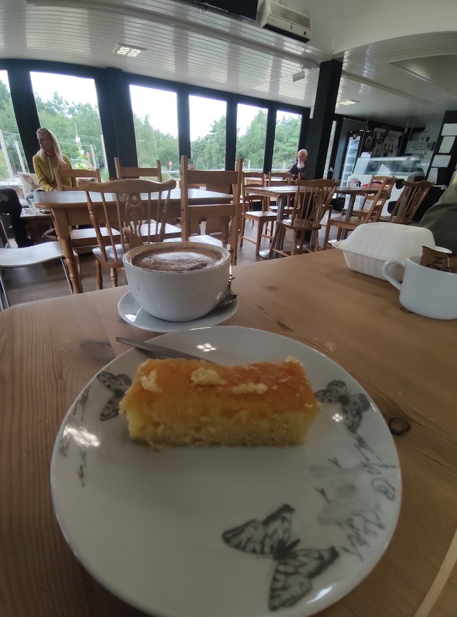 Avon Heath Cafe - 10