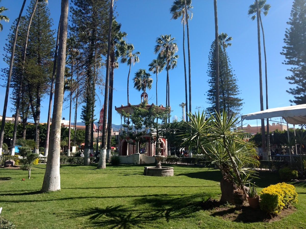 Neveria 'El Kiosco' - 4