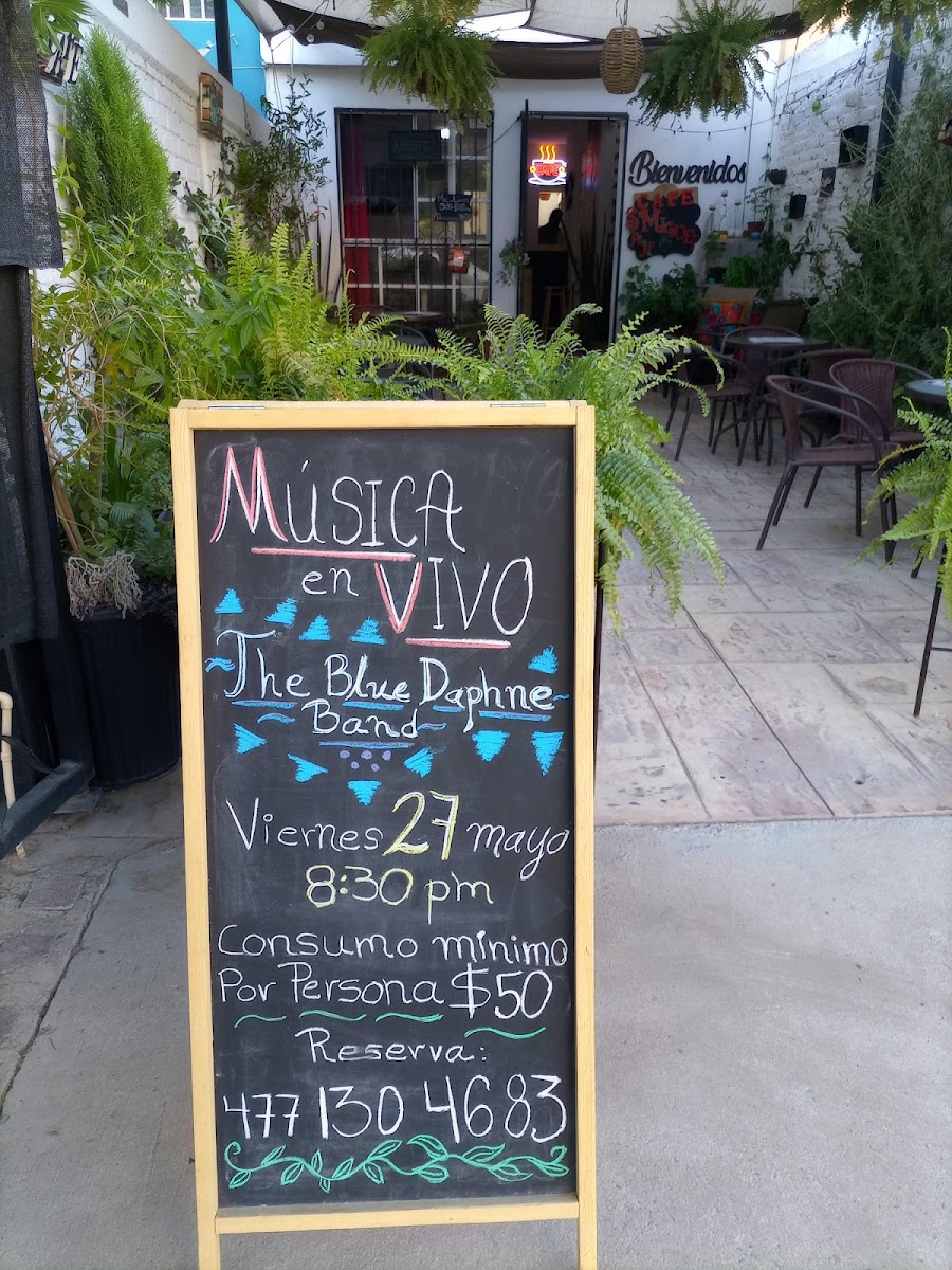 Cafe San Miguel - 10