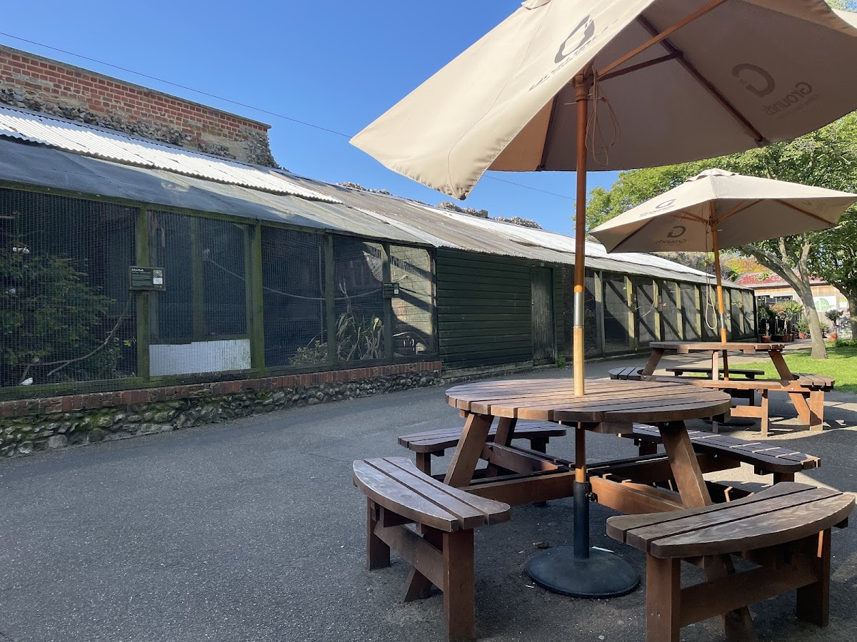 Grounds Café Abbey Gardens