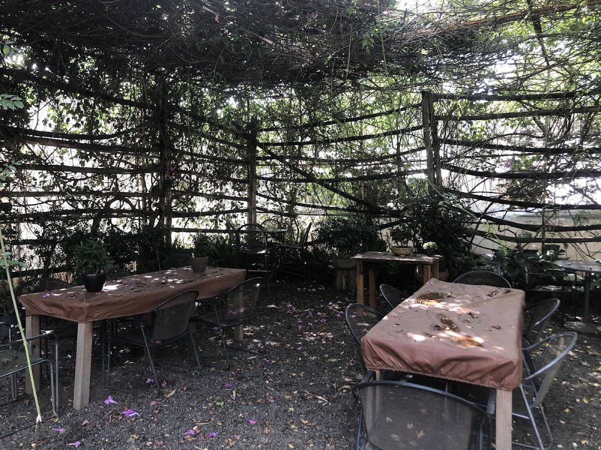El Café Del Garden