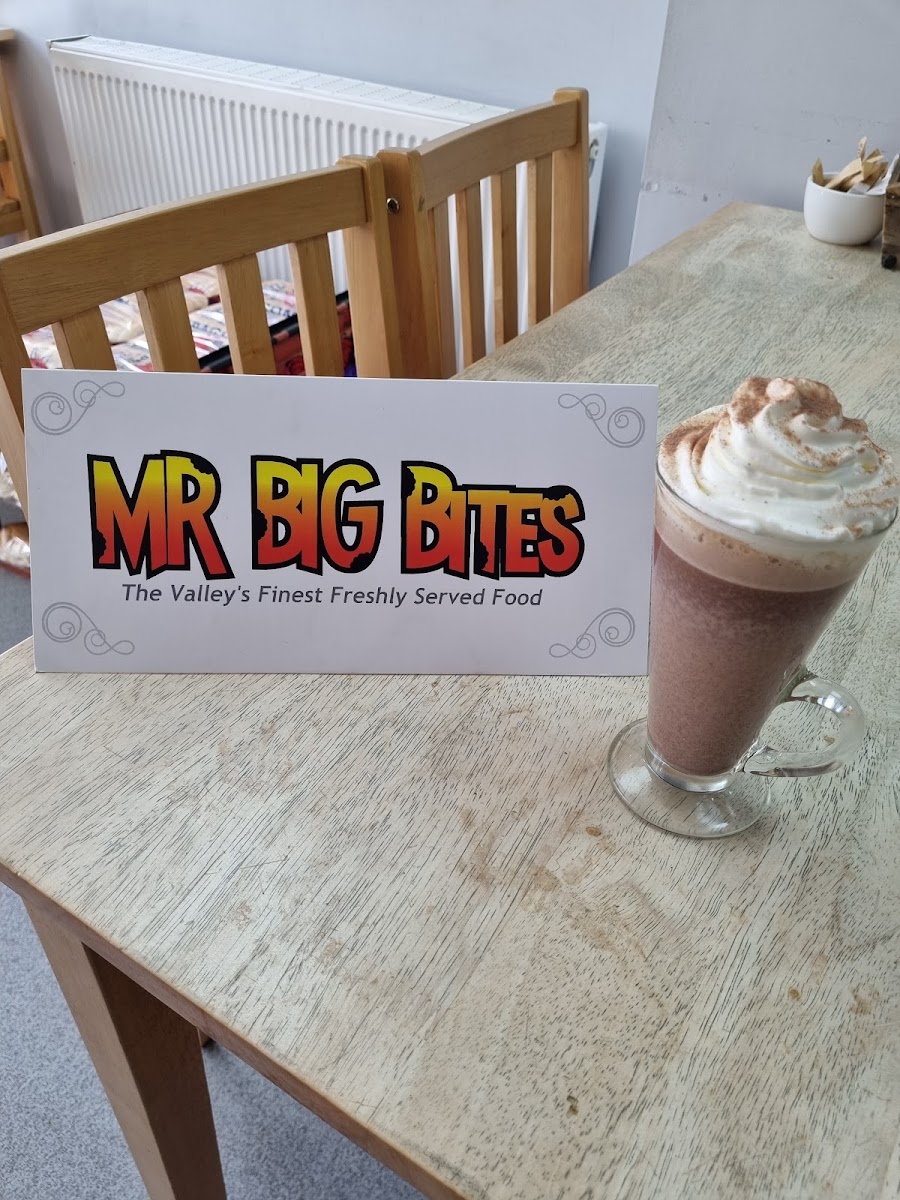 Mr big BITES