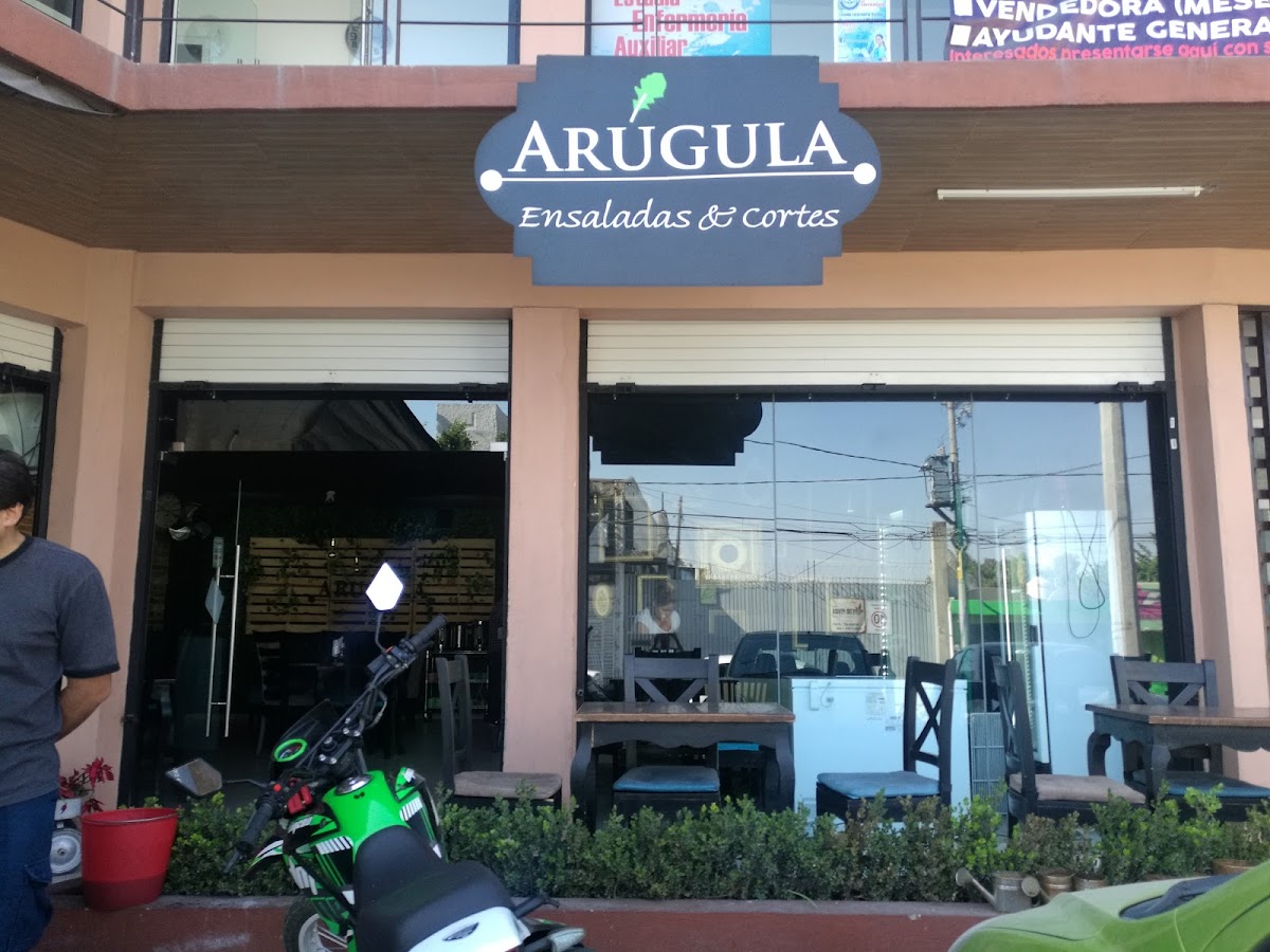Arúgula