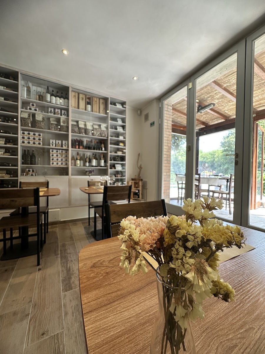 Maccari Montalcino / Pura Crocus