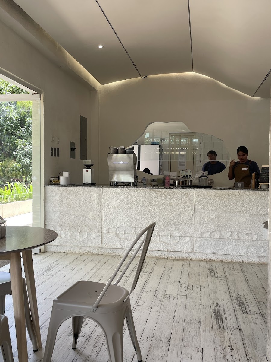 bitter bean caffeine cabana coron