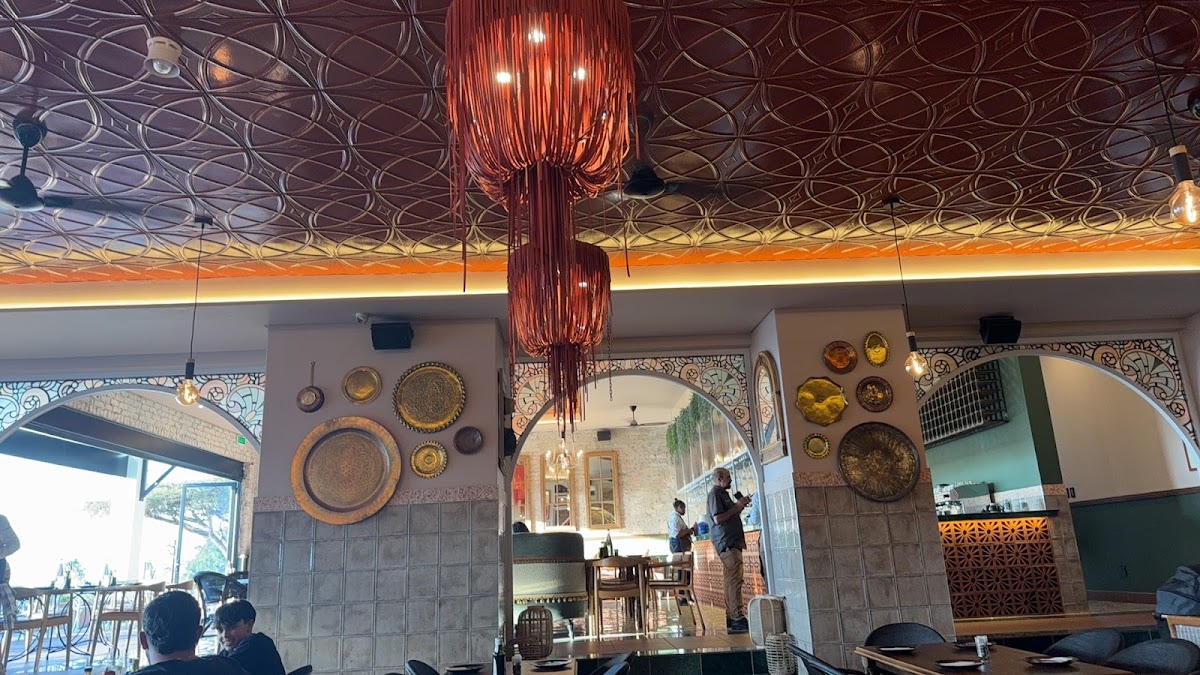 Beira Alta Leaping Frog