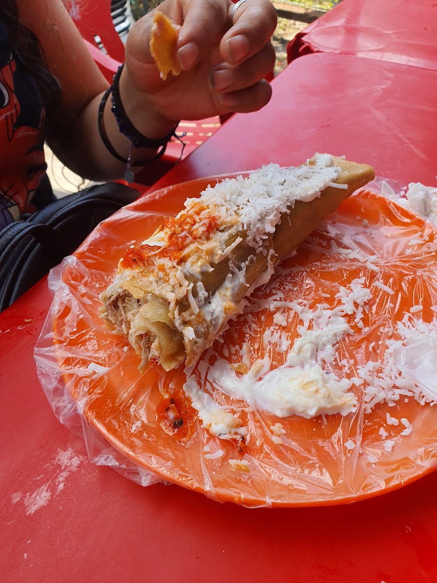 Tacos y flautas el sammy