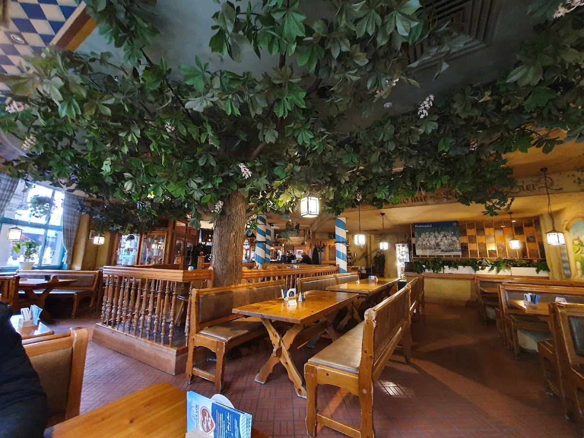 Paulaner am Thielenplatz