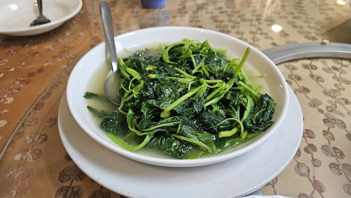 Bock Garden Meatless Cafe