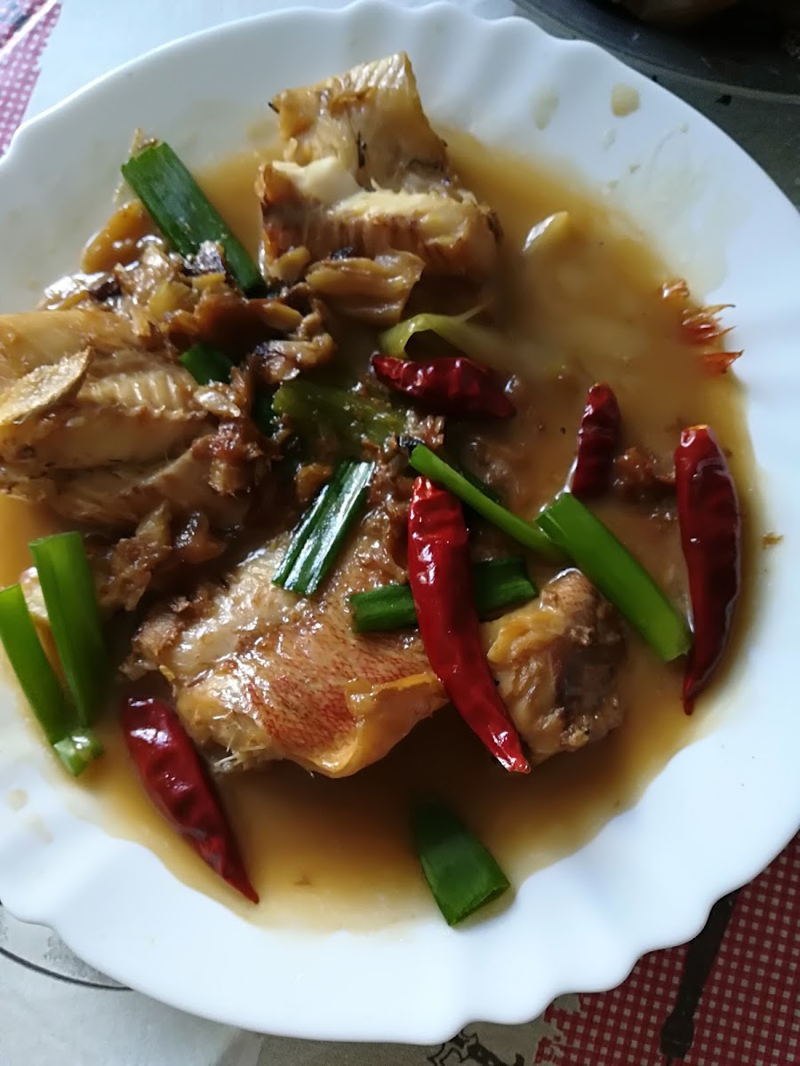 Caffetteria Luosi - 4