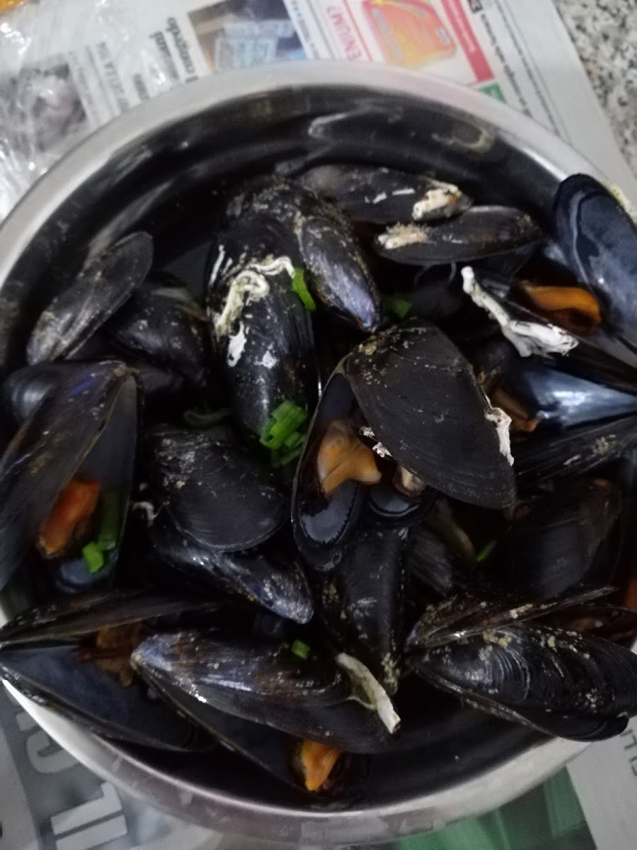 Caffetteria Luosi - 5