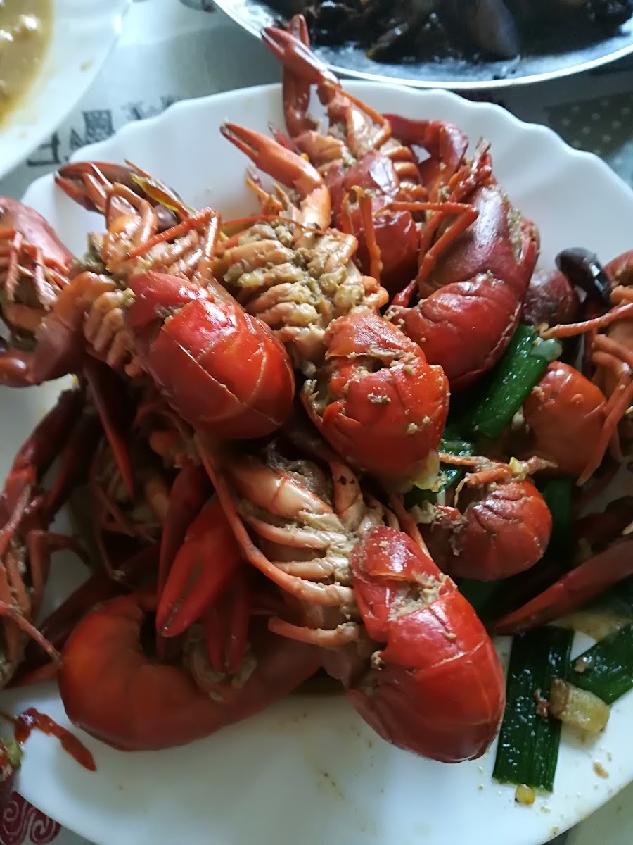 Caffetteria Luosi - 9