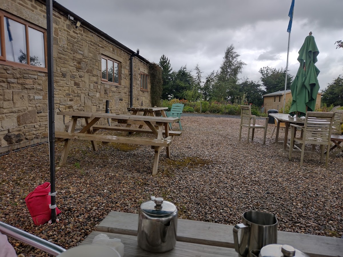Curlew Cafe - 4