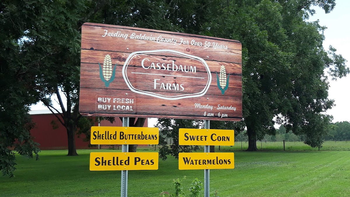 Cassebaum Curtis - 2