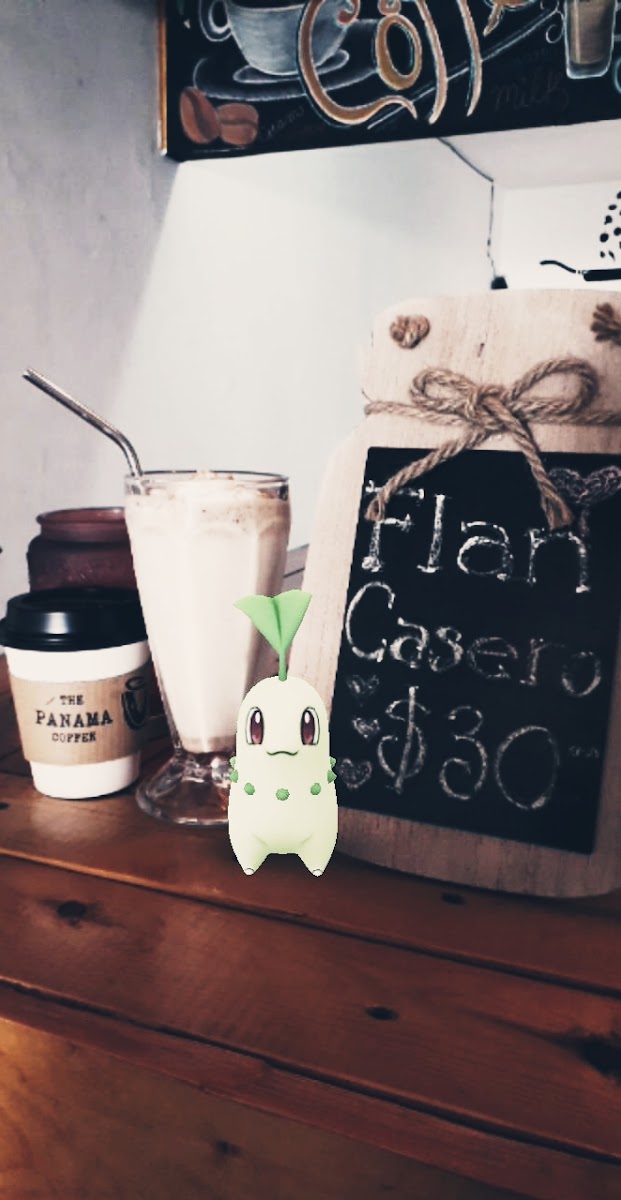The Panama Coffee - 8