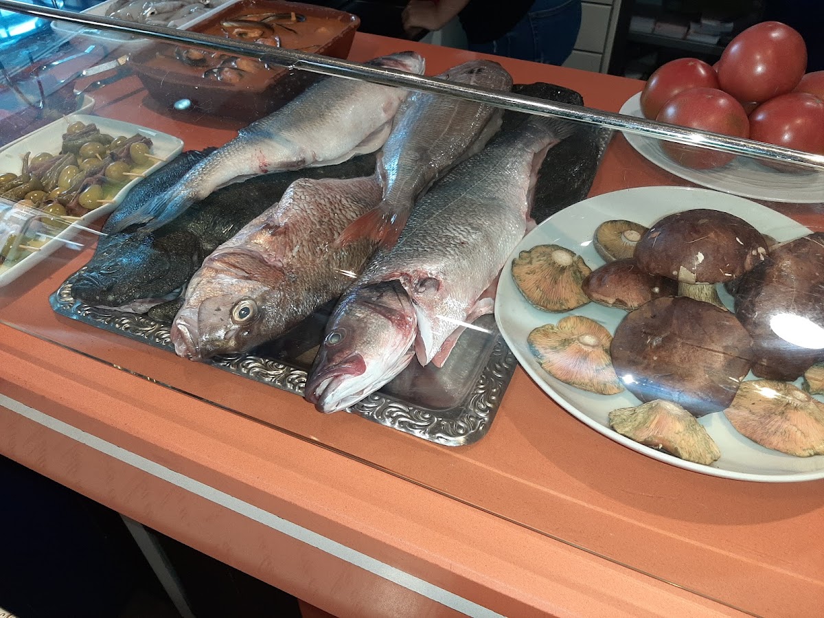 Bar Cafeteria Happy - 7