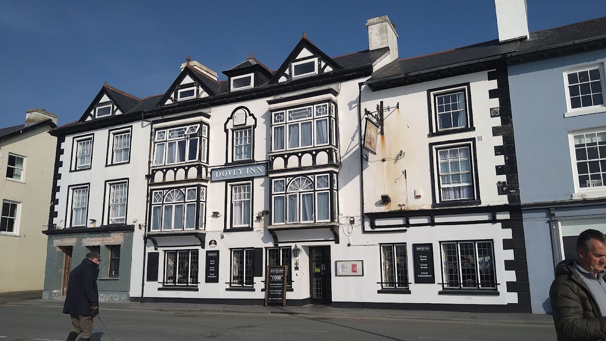 Bear of Amsterdam Cafe