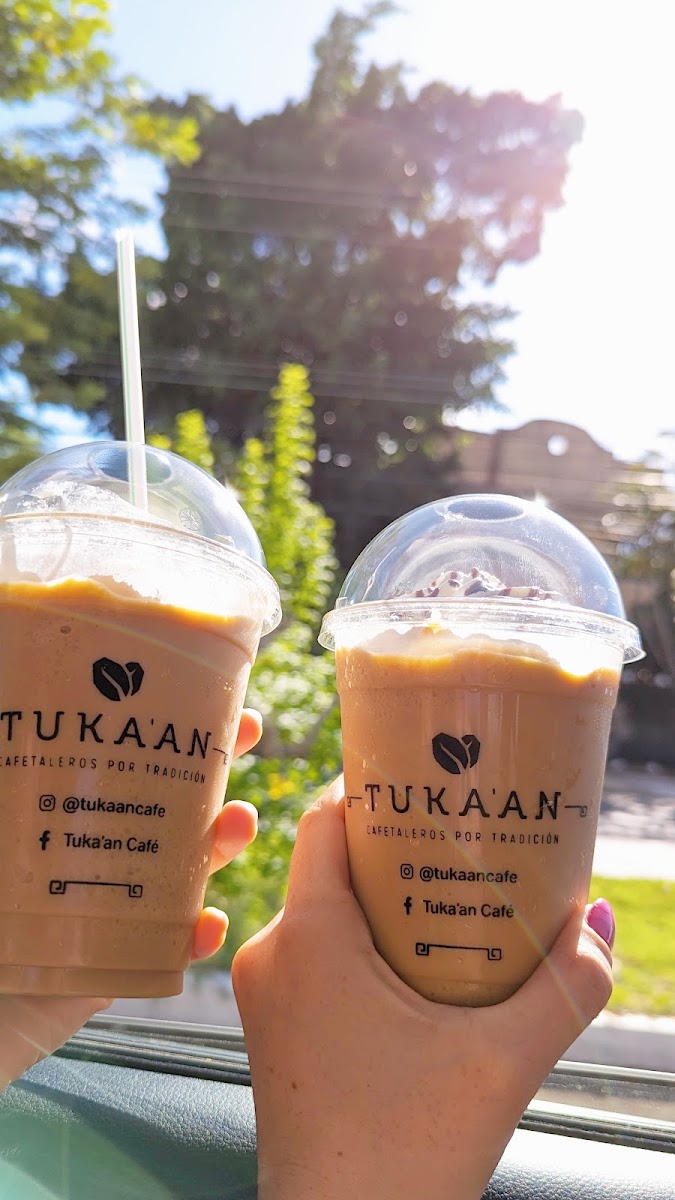 Tukaan Café Altabrisa - 7