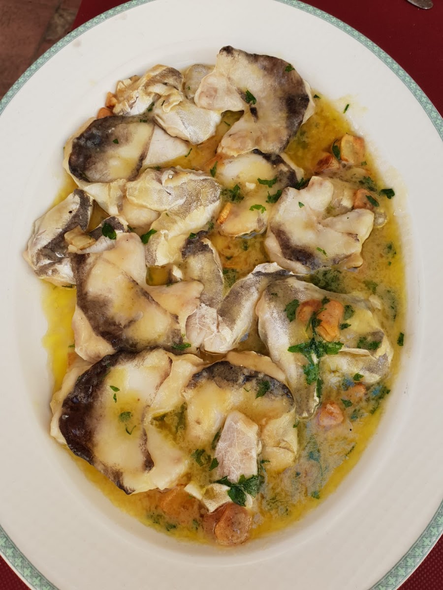 Cafeteria Intercambiador - 9