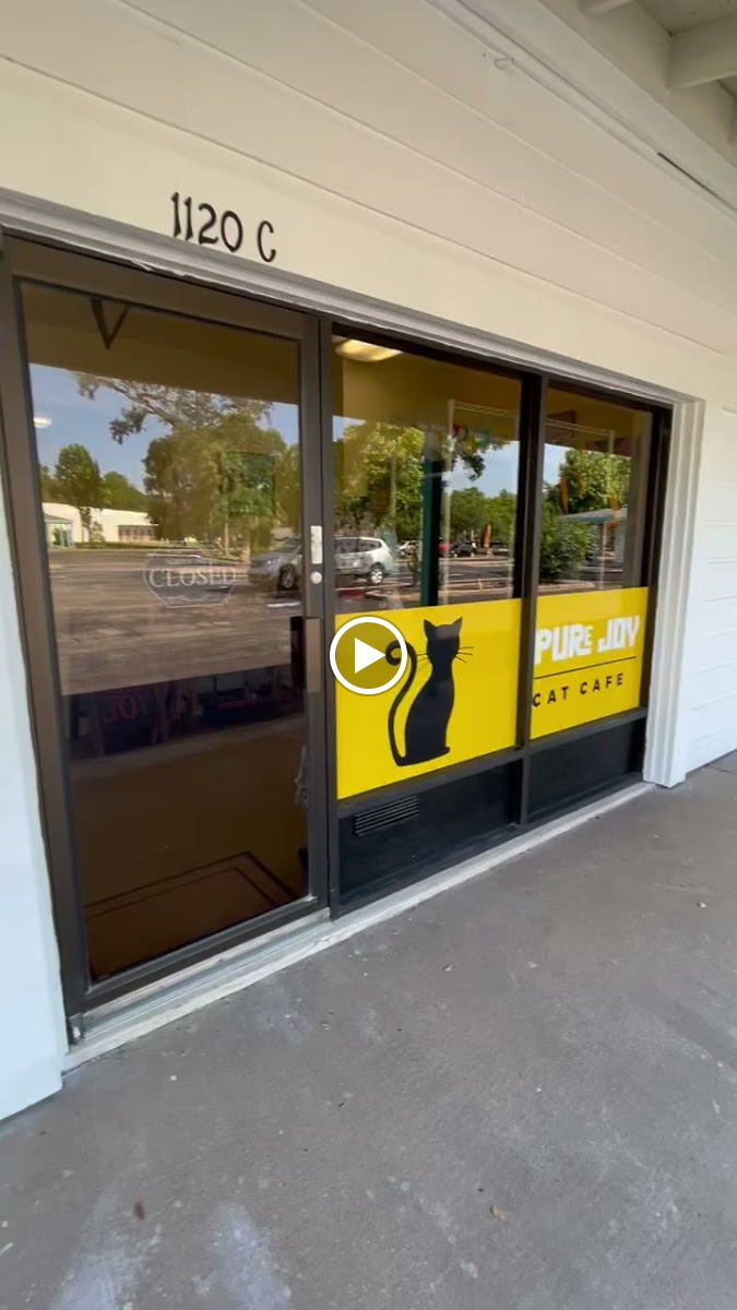 PURe JOY CAT CAFE