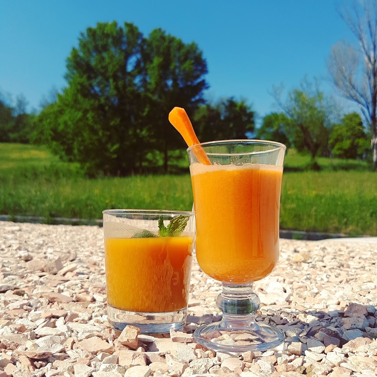 Chiocciola Caffè - 7