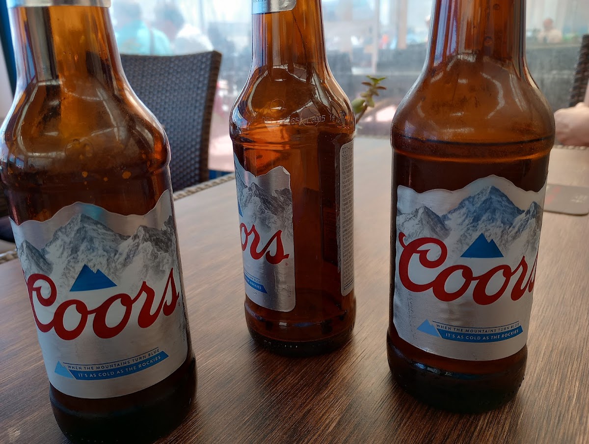 Harp and Shamrock - 10