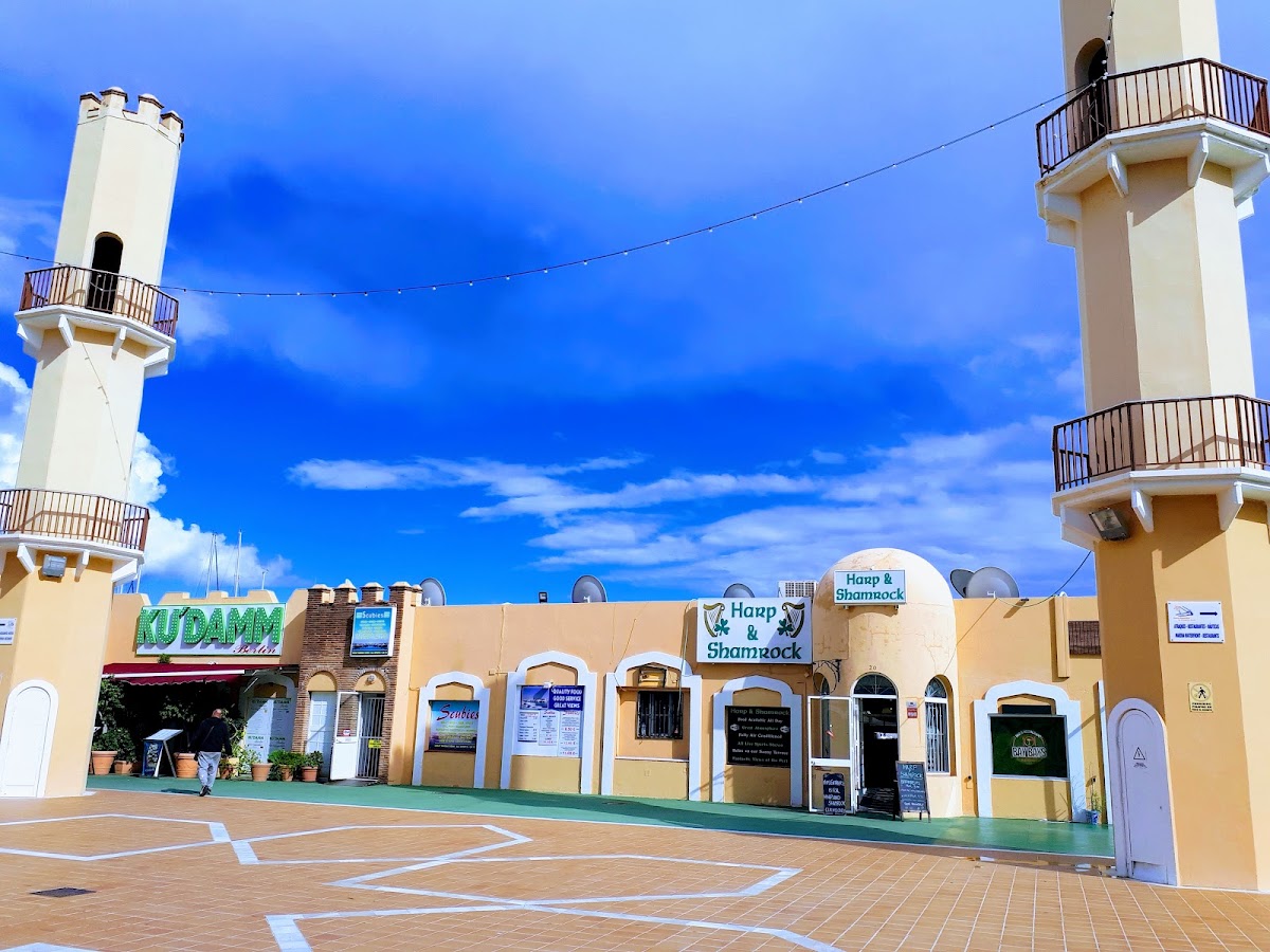 Harp and Shamrock - 3