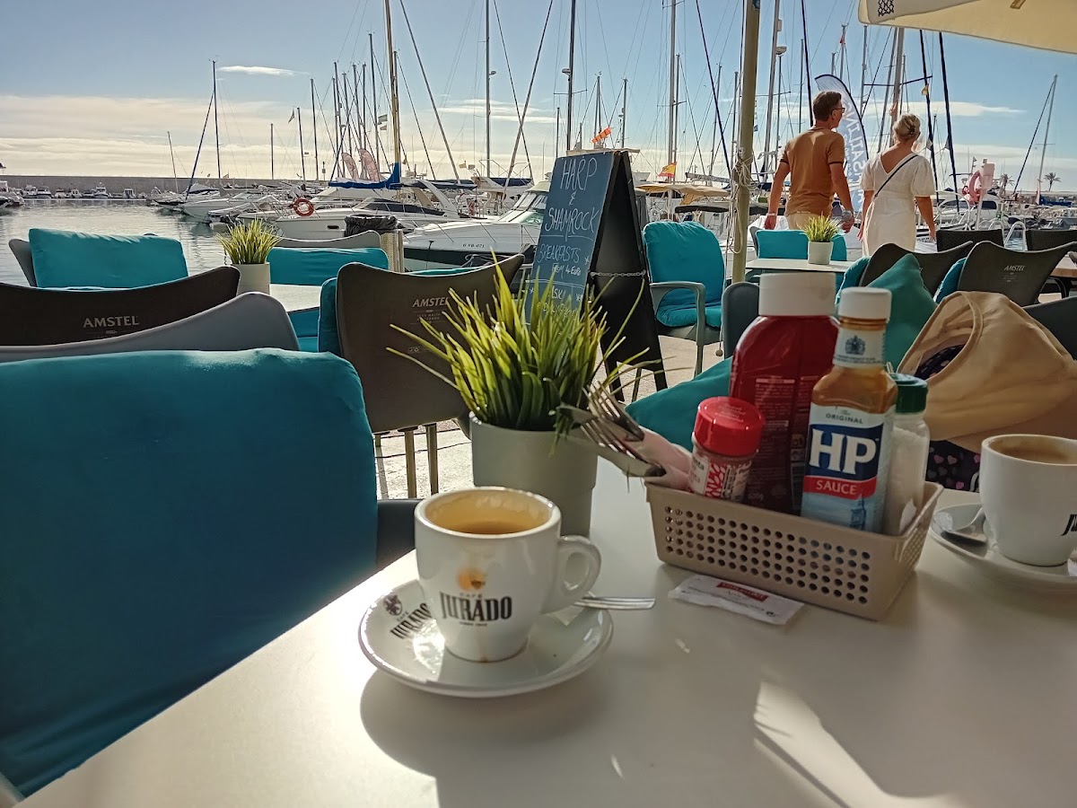 Harp and Shamrock - 4